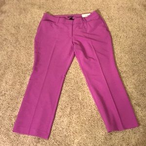 New with tag cute pants